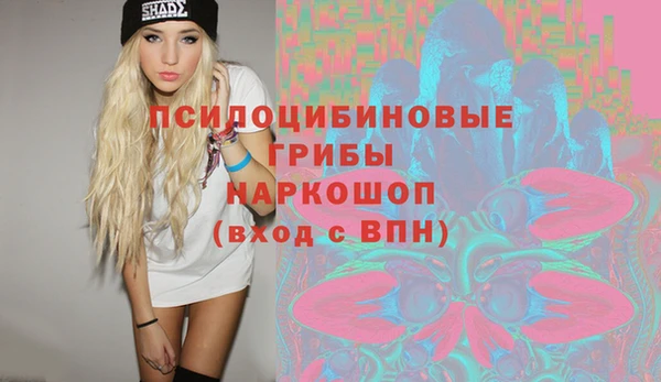 таблы Алексин
