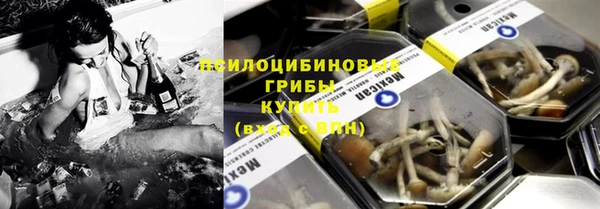 не бодяженный Алзамай