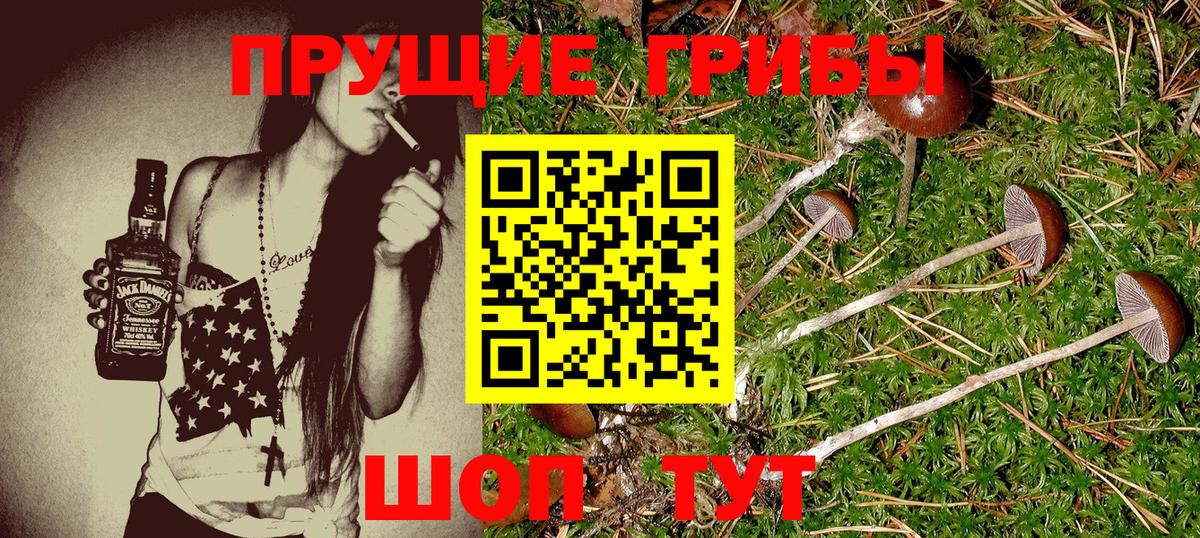Галлюциногенные грибы Psilocybine cubensis  Вход с VPN  Курганинск 