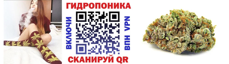 Марихуана планчик  Курганинск 
